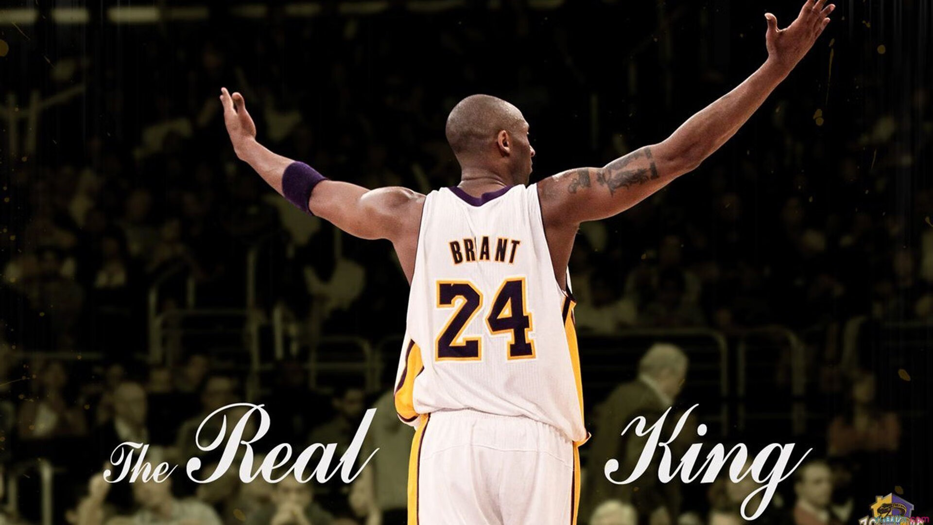 周末意甲焦点战！密尔沃基雄鹿迎战川崎前锋，大胜或上演的简单介绍